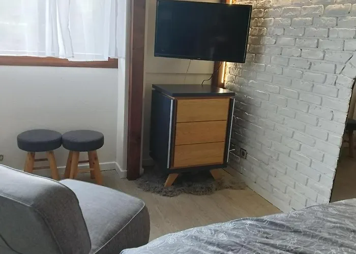 Apartment La Marjolaine Annecy